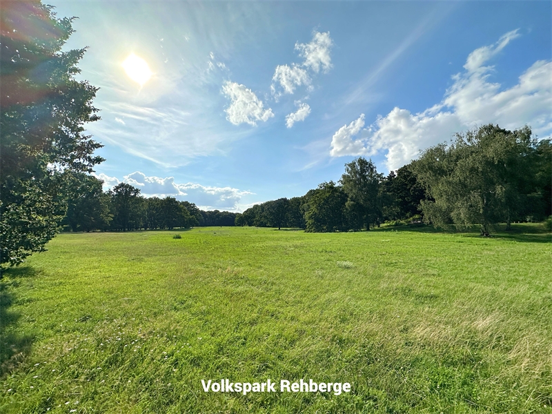 Rehberge Park