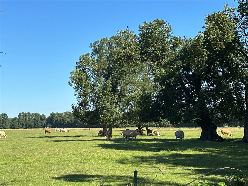 Nähere Umgebung