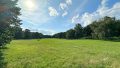 Rehberge Park
