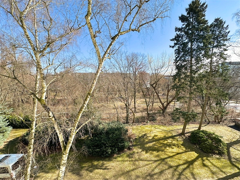 Ausblick hinten