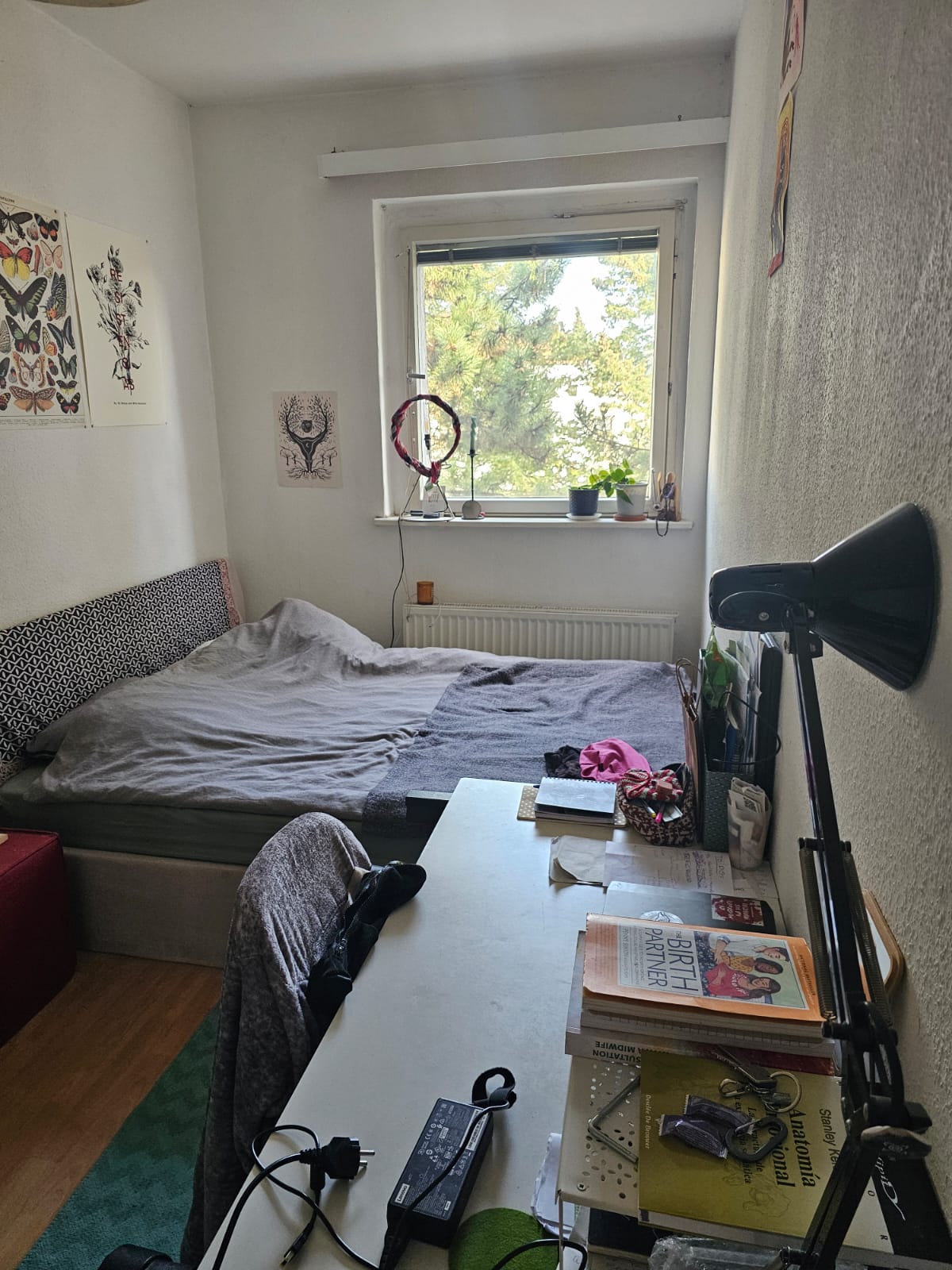 Zimmer 1