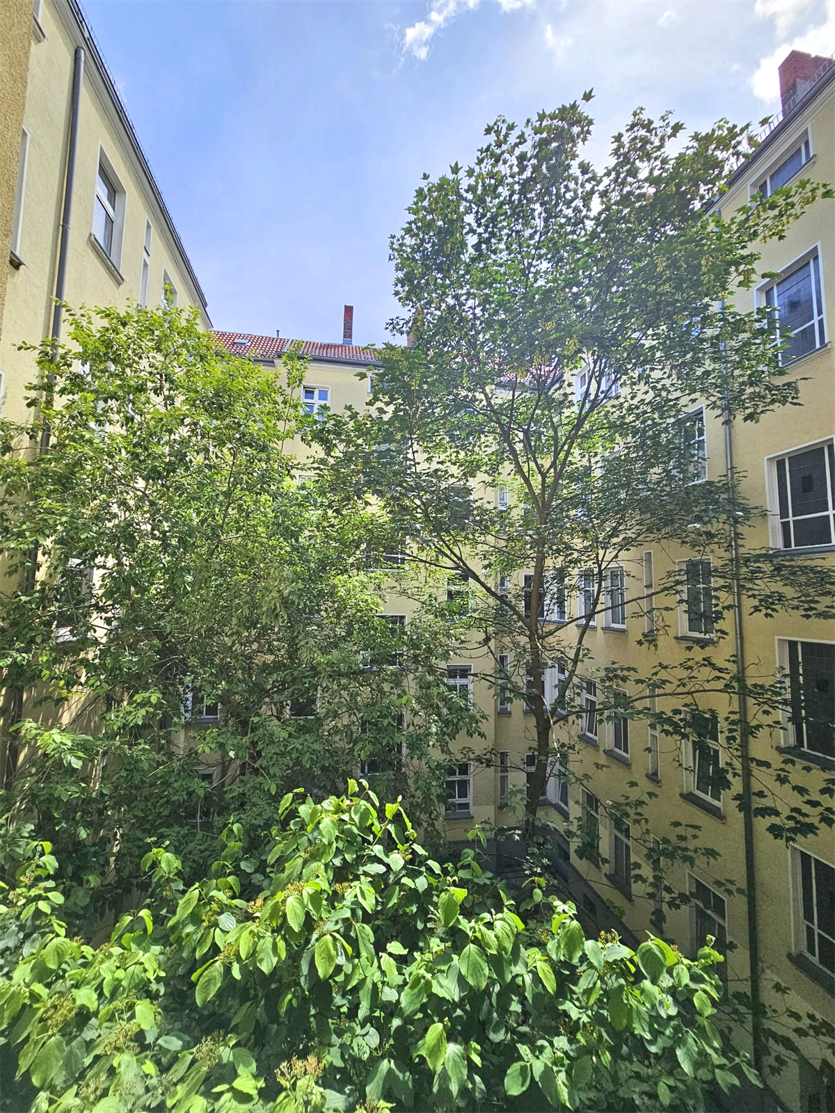 Ausblick Innenhof