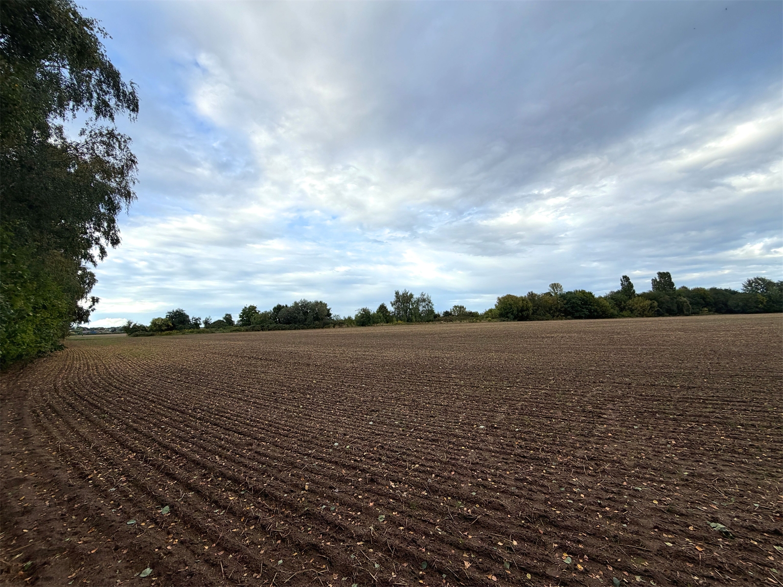 Weites Feld in der Nähe