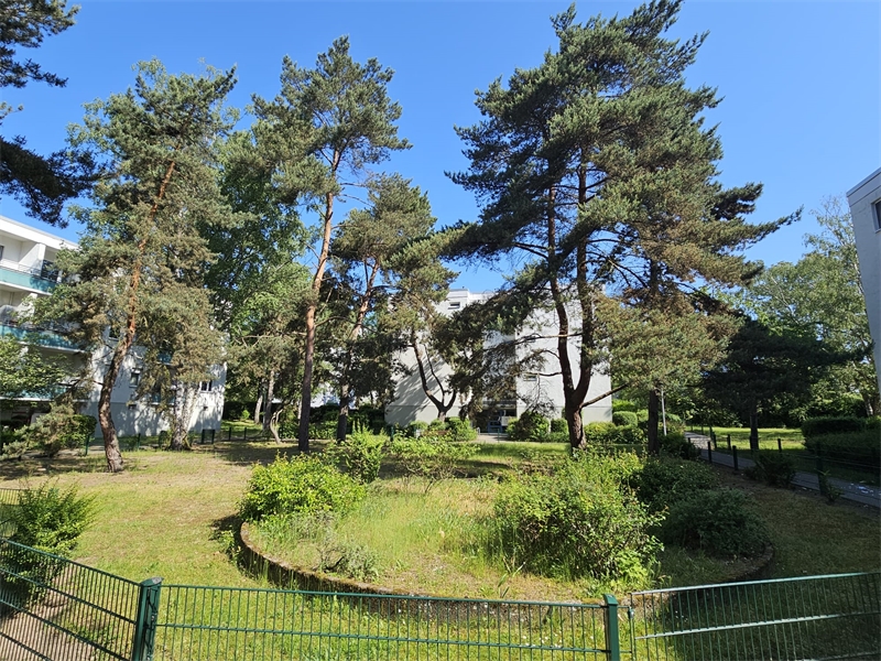 Allgemeiner Garten