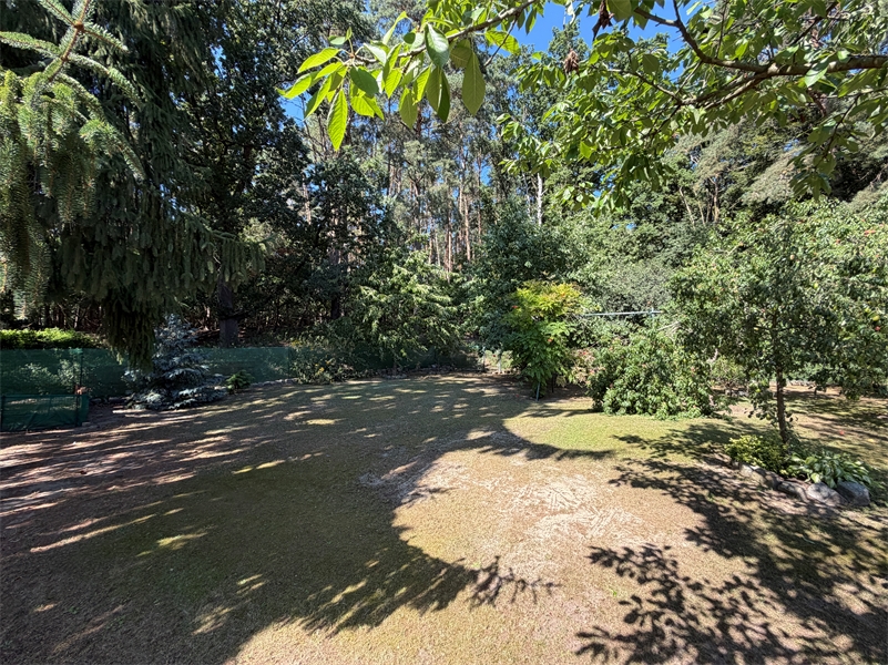 Garten hinten