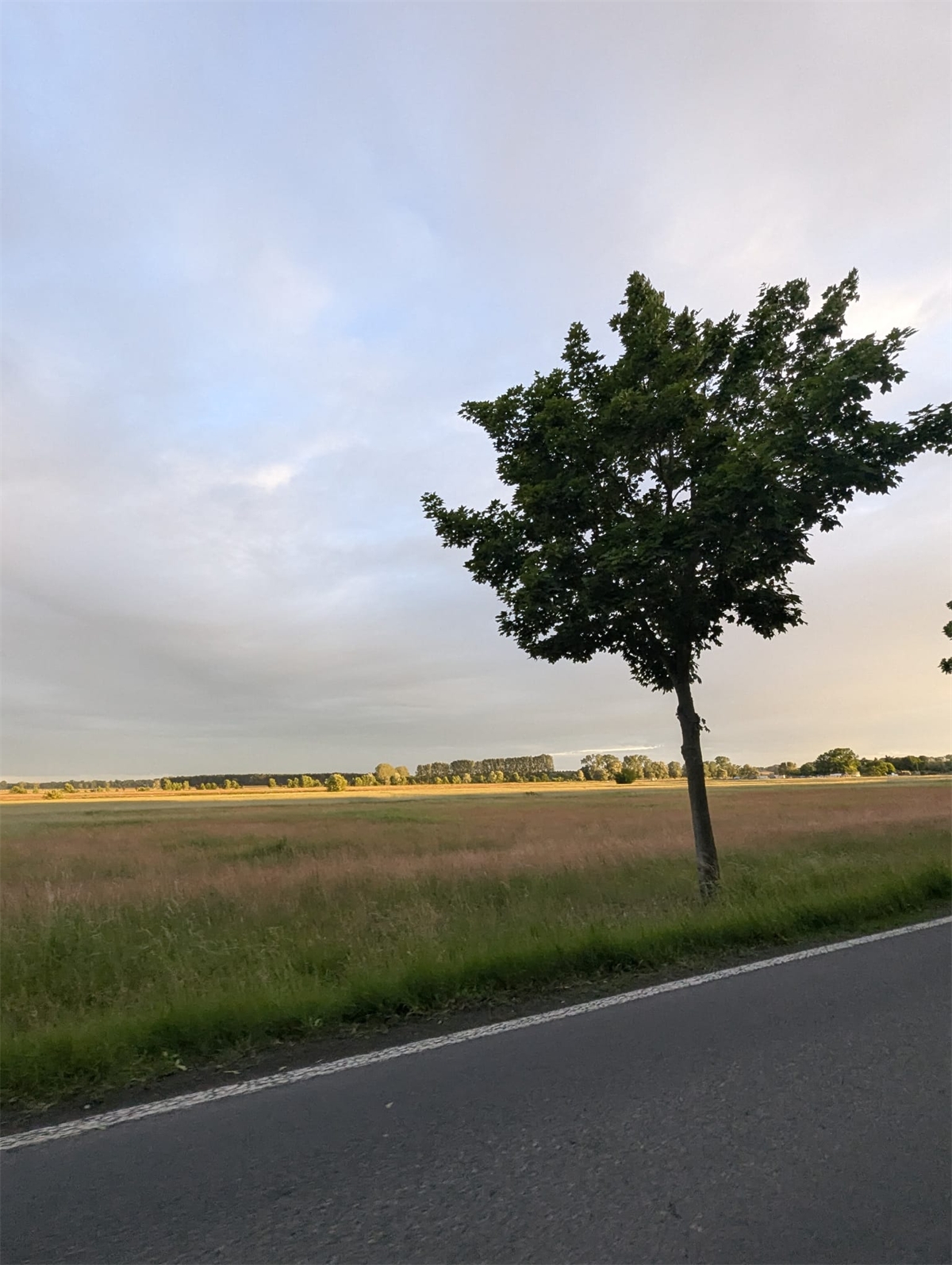 Morgendämmerung