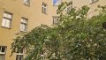 Innenfassade