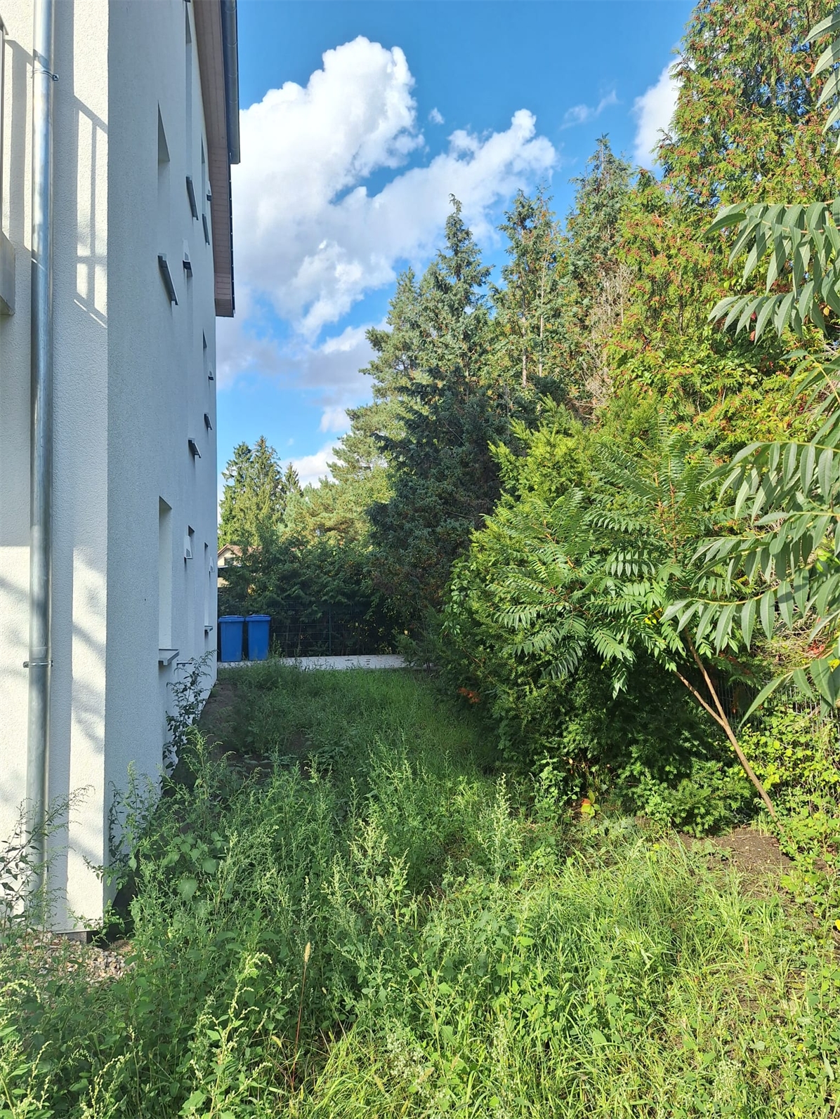 Gartenfläche